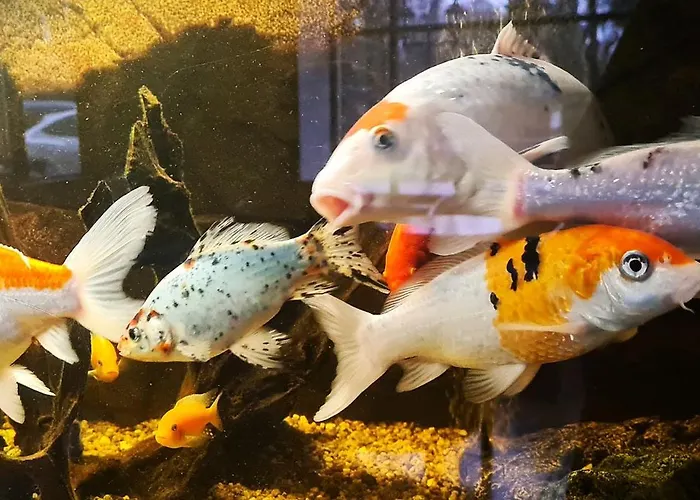 Barclay Hotell Tartu